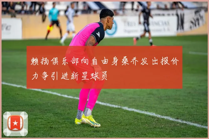赖扬俱乐部向自由身桑乔发出报价力争引进新星球员