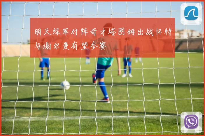 明天绿军对阵奇才塔图姆出战怀特与谢尔曼有望参赛