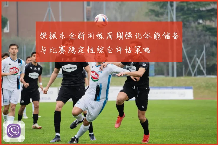 樊振东全新训练周期强化体能储备与比赛稳定性综合评估策略