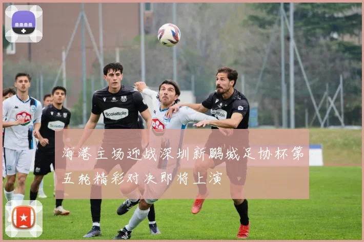 海港主场迎战深圳新鹏城足协杯第五轮精彩对决即将上演